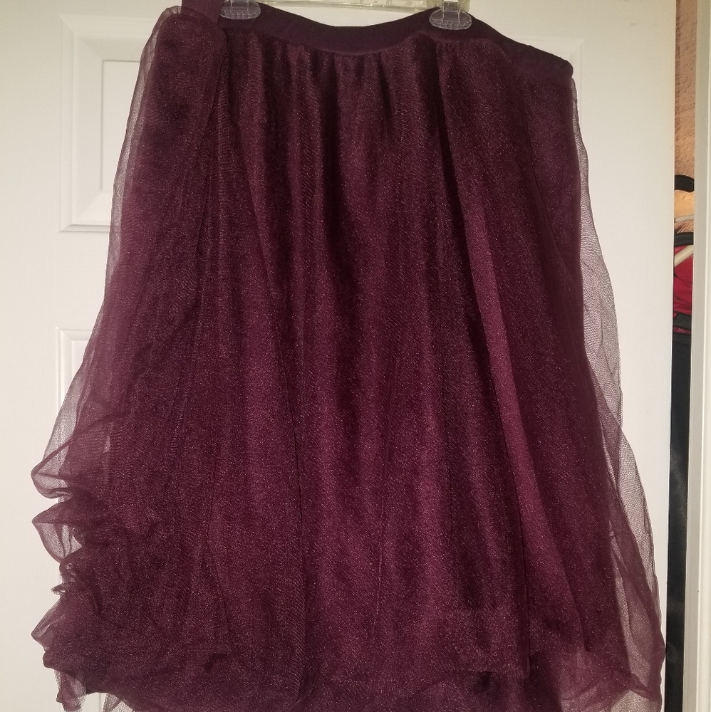 Tulle Skirt